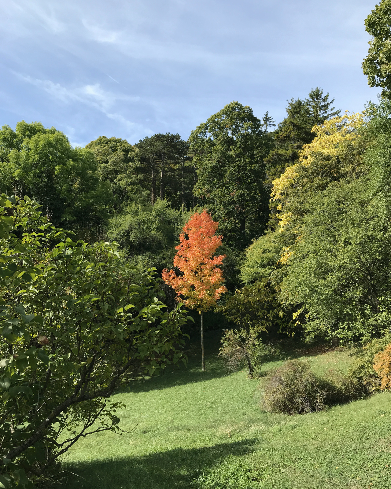 autumn-colors-1.jpg