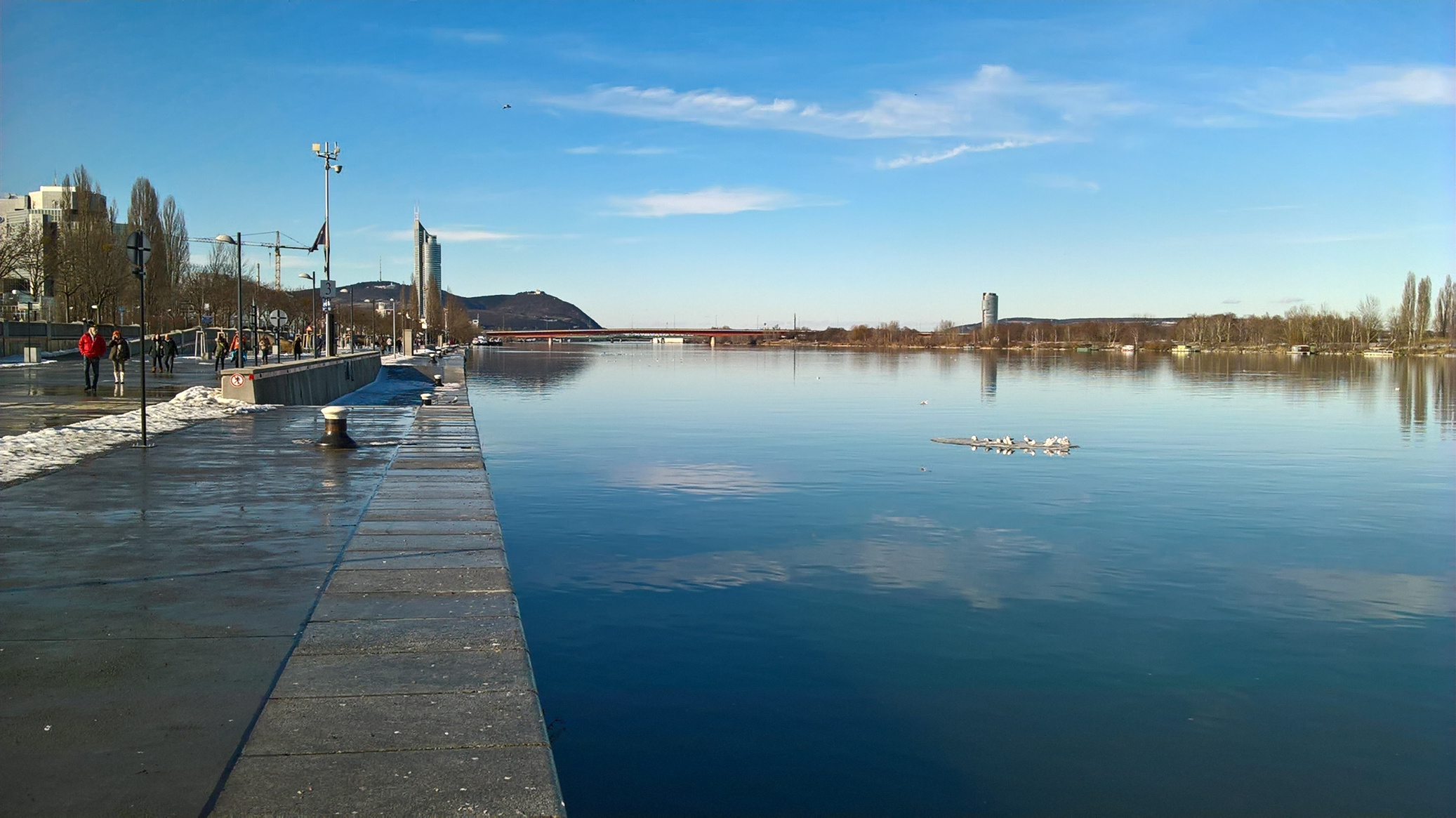 danube-seagulls-ice-float.jpg