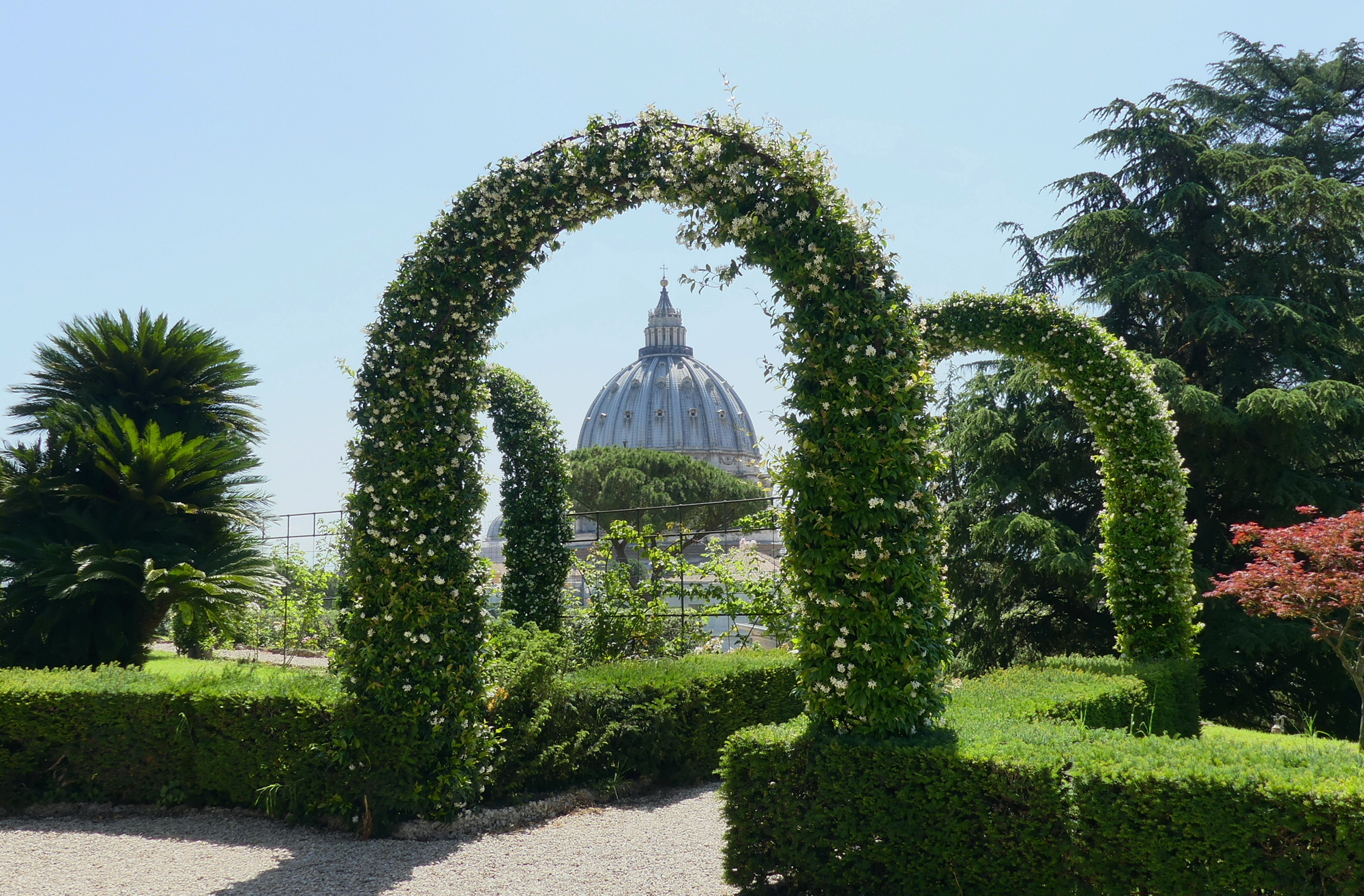 st-peter's-cathedral-seen-from-vatican-gardens.jpg