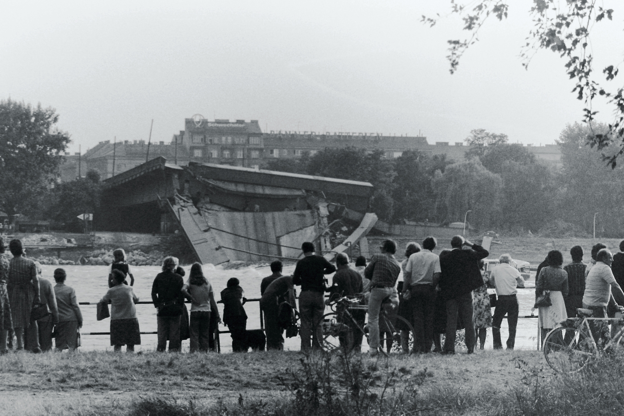 reichsbruecke-2.jpg