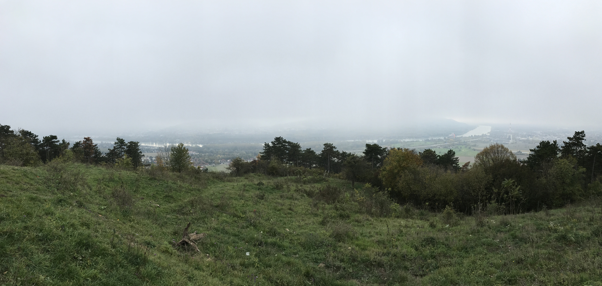 foggy-view-from-bisamberg.jpg