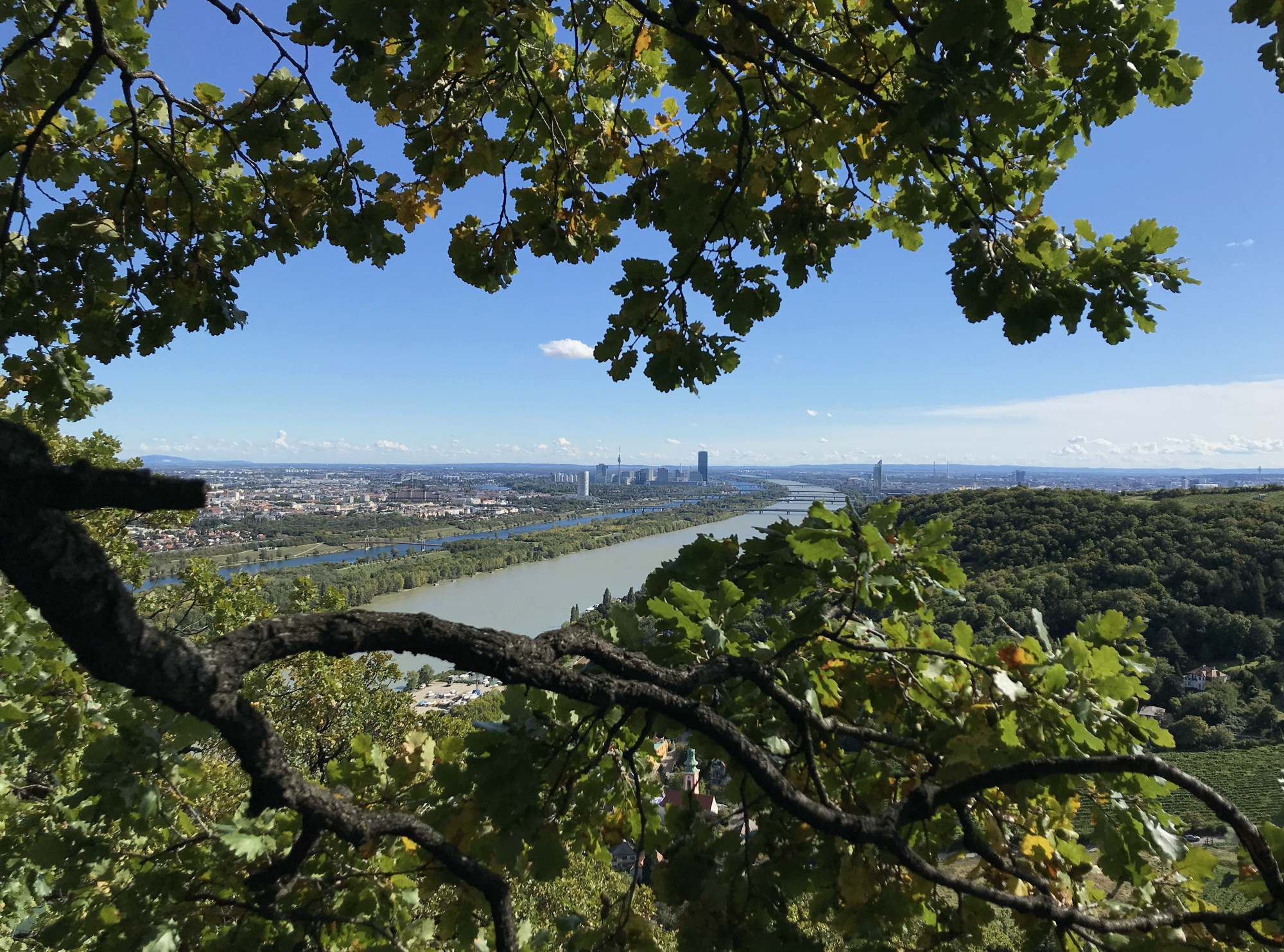 vienna-from-leopoldsberg.jpg