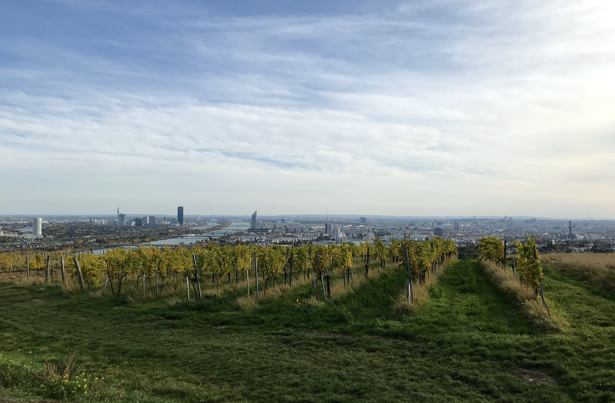 vienna-from-nussberg.jpg